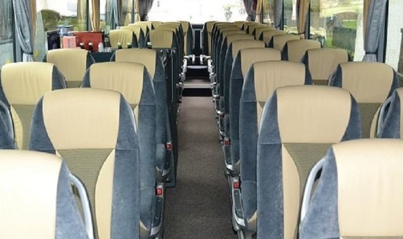 Croatia: Coach operator in Split-Dalmatia in Split-Dalmatia and Split